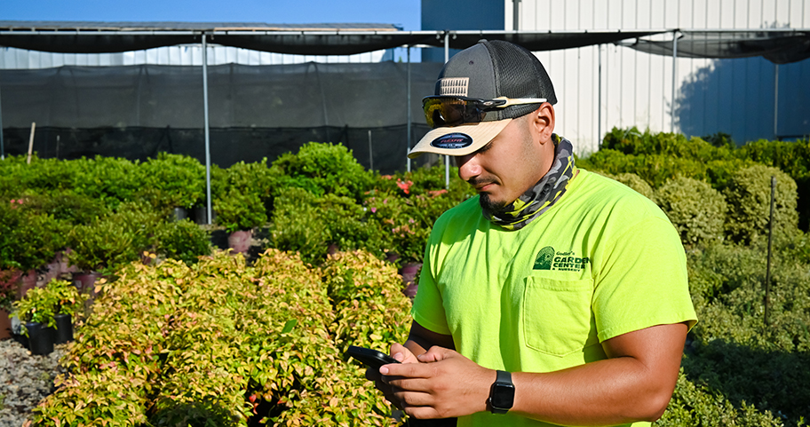 A person on their phone outside of a plant nursery.