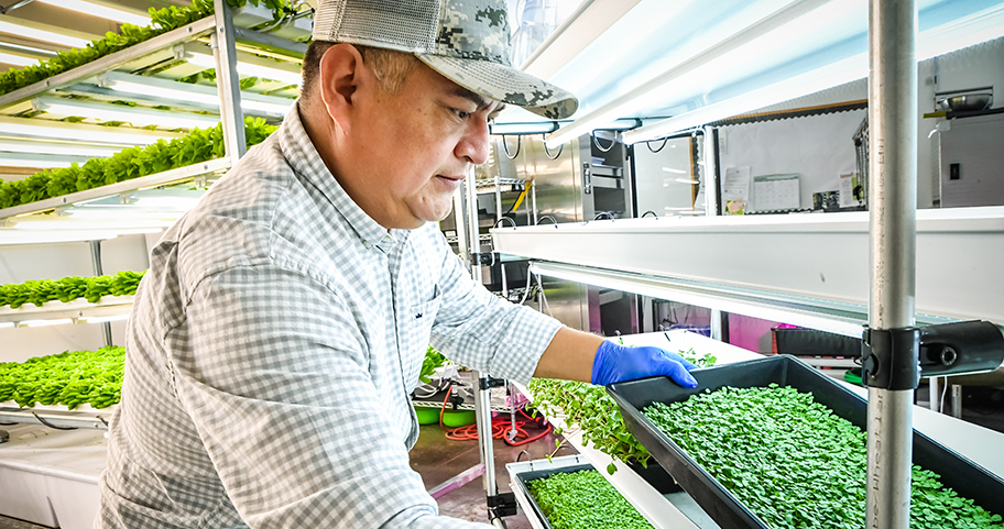 A man growing plants in a greenhouse